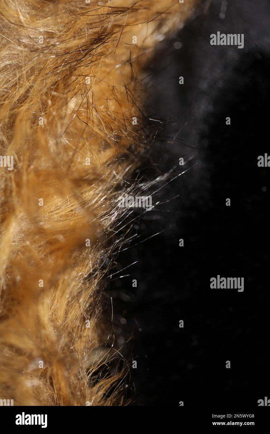 Artificial brown winter jacket hairs close up background stock