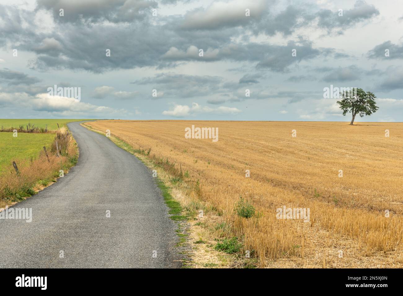 Quiet little road in French countryside. Aubrac, France Stock Photo Alamy