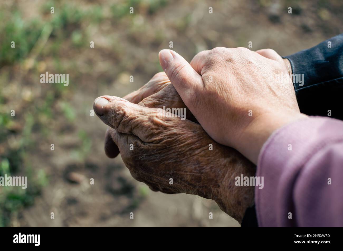 Hands of old grandmother and granddaughter, tenderness and care Stock Photo