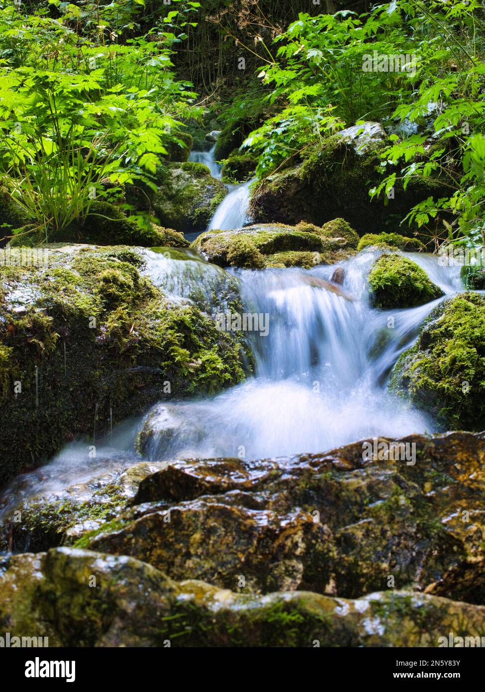 A beautiful waterfall in the middle of the forest near lake Stock Photo ...