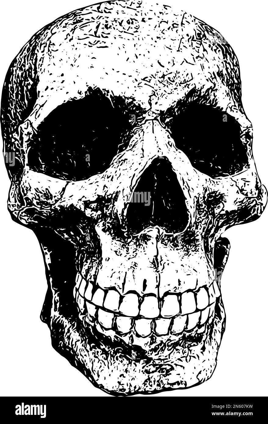Human skull sketch illustration in black Stock Vector