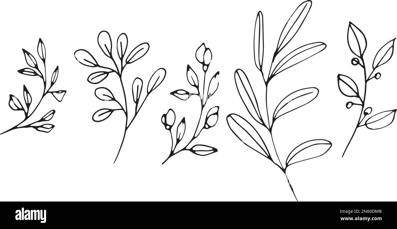 Set of graphic vector plant branches with leaves and flowers Stock ...