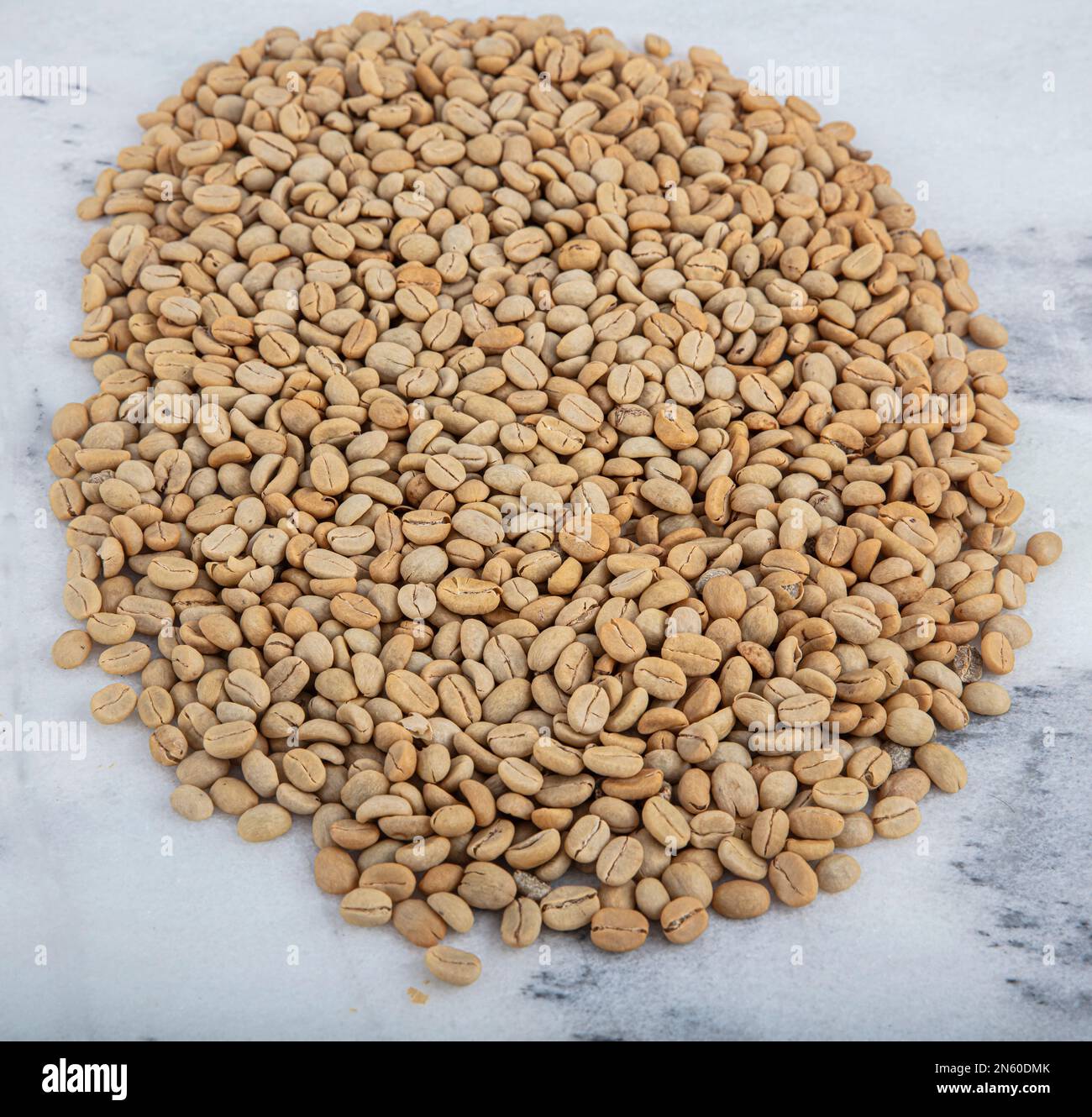 Coffee bean in various stage Raw beans to dark roast. coffee beans