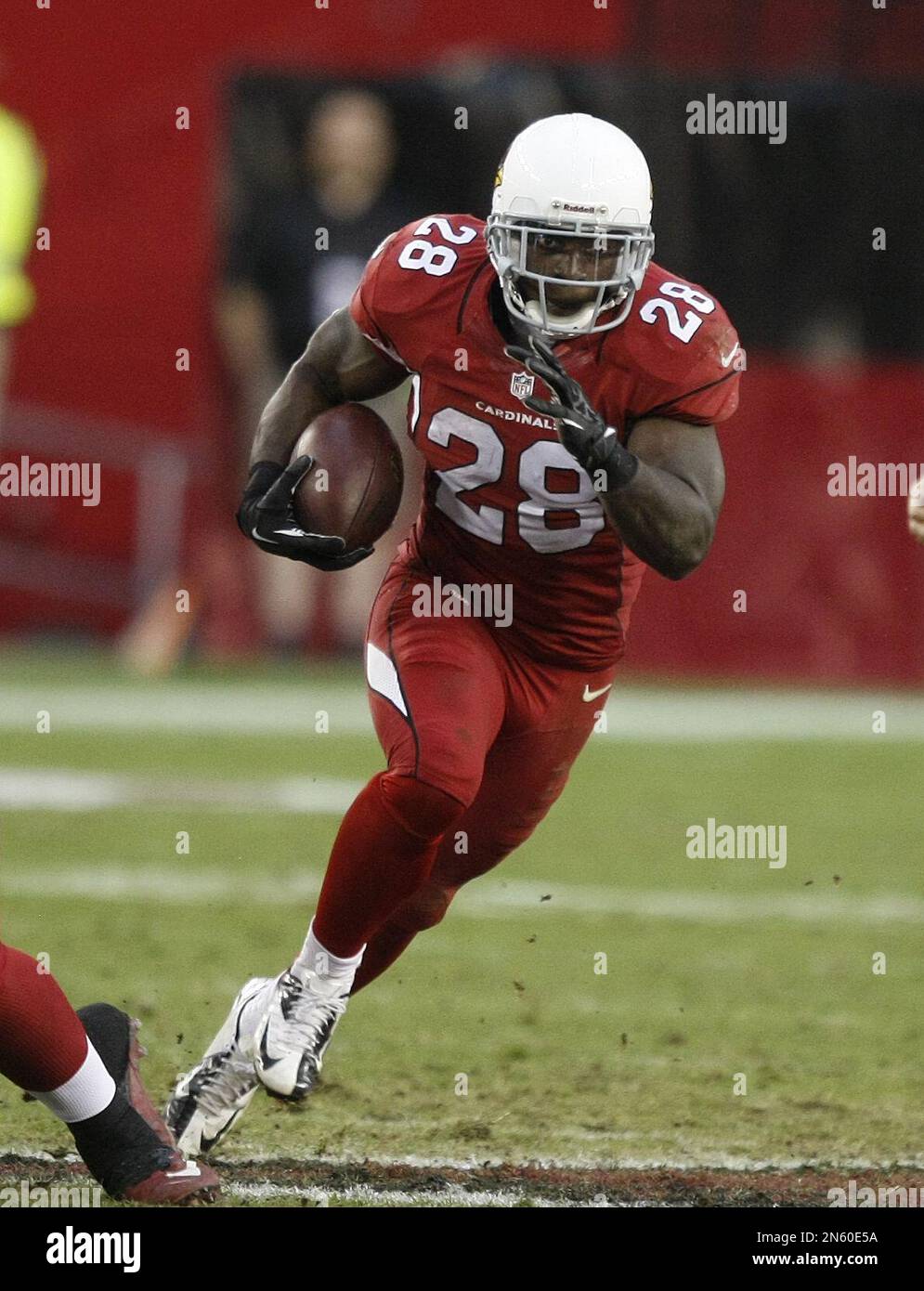 Arizona Cardinals running back Rashard Mendenhall (28) during the first