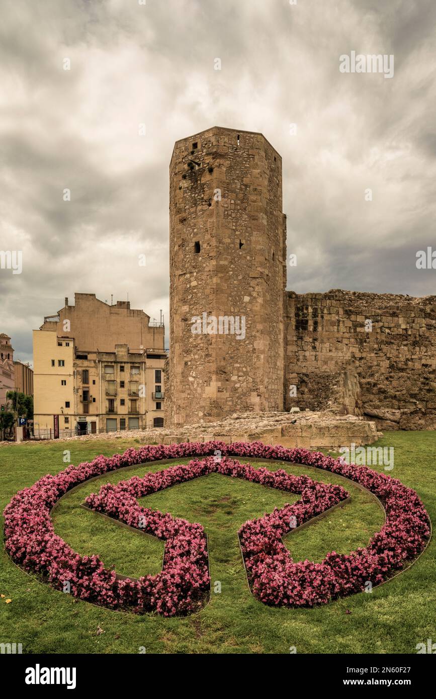 stone tower in the old roman medieval wall with a shield of pink flowers in the garden lawn in the city of Tarragona, Catalonia, Spain, Europe. Stock Photo