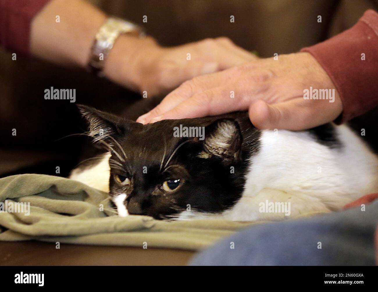 In this photo taken on Nov. 9, 2013, Mike Kelley, foreground, and