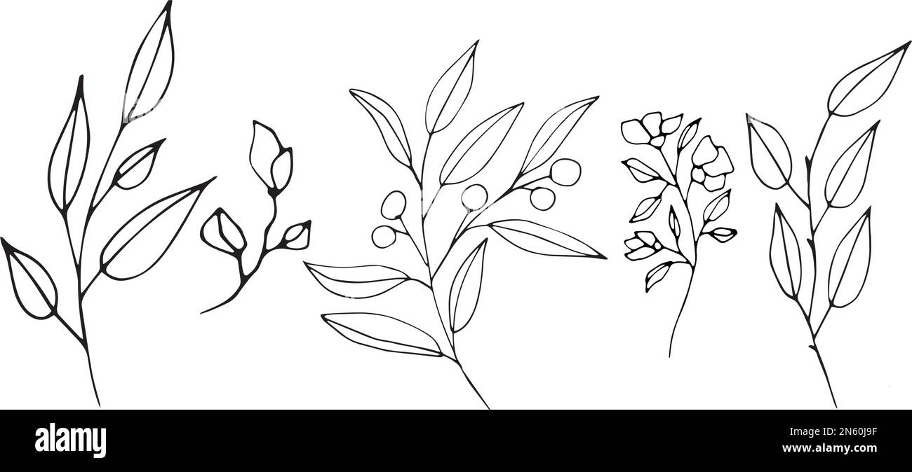 Set of graphic vector plant branches with leaves and flowers Stock ...