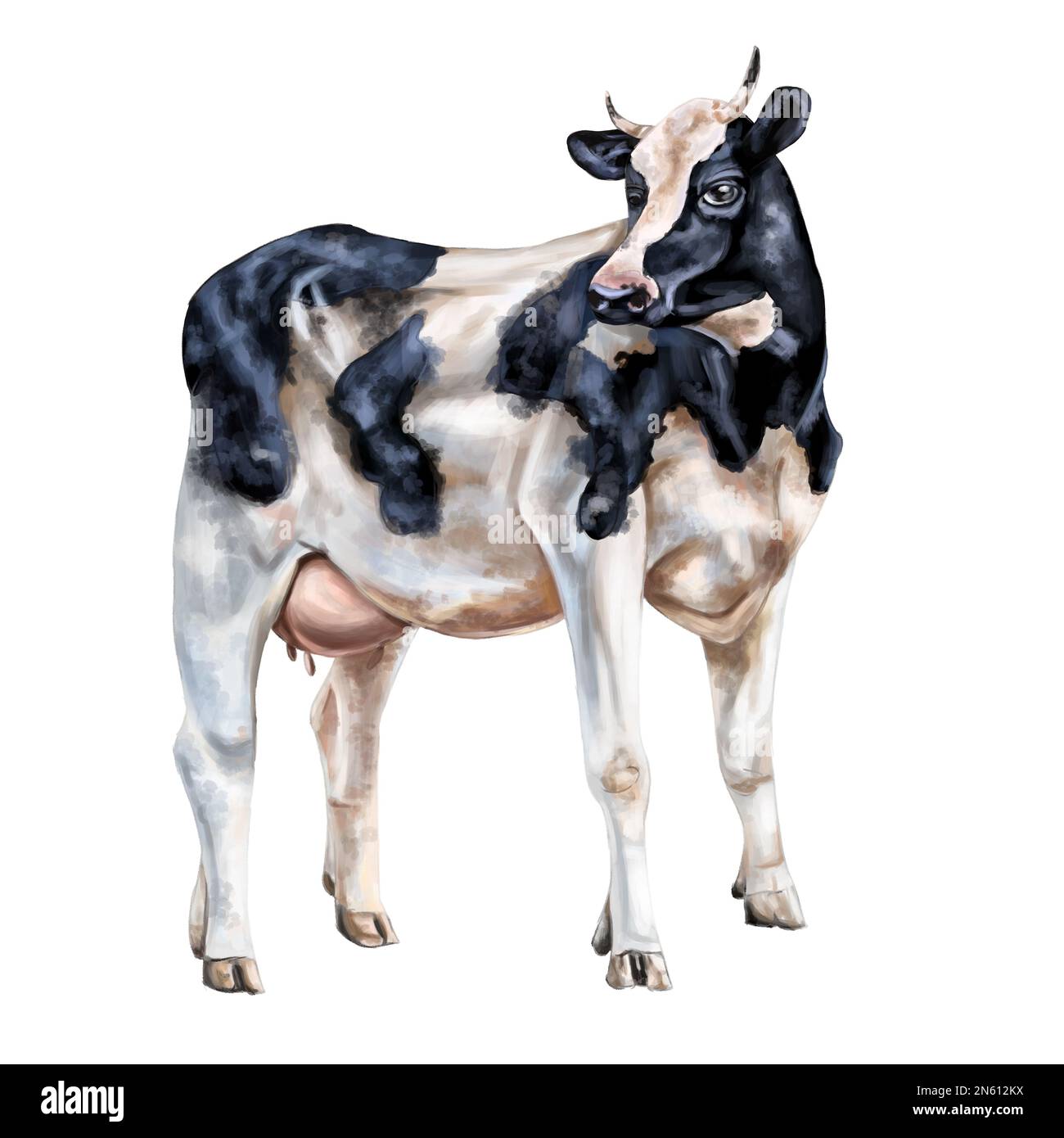 Black and white cow with spots and horns in full growth. Digital illustration. Isolated object Stock Photo