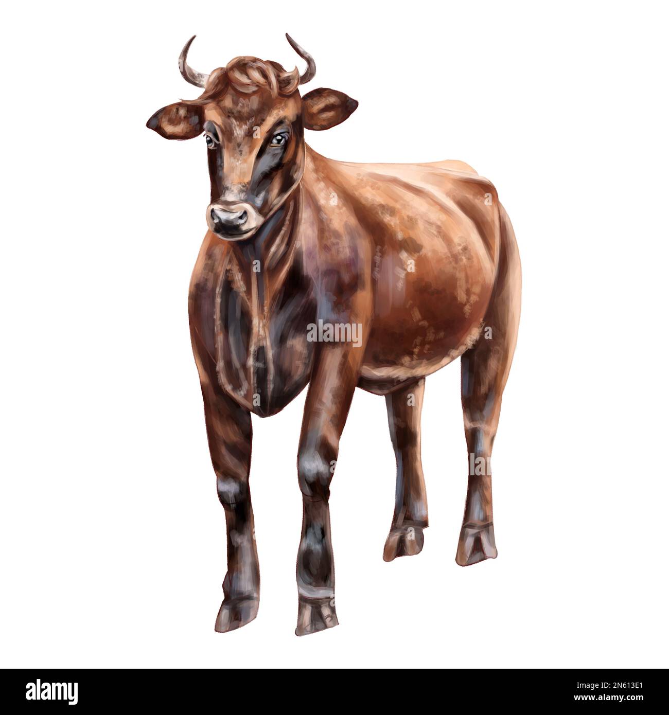 Holstein Cattle Horns