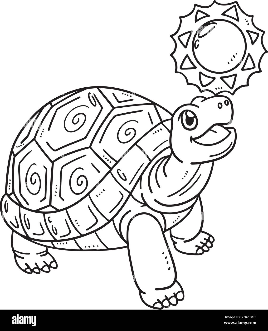 tortoise coloring pages