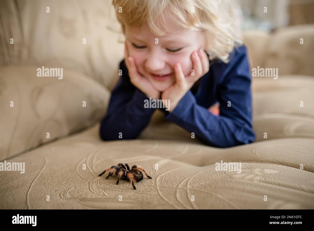 A little girl without arachnophobia is playing with a pet spider