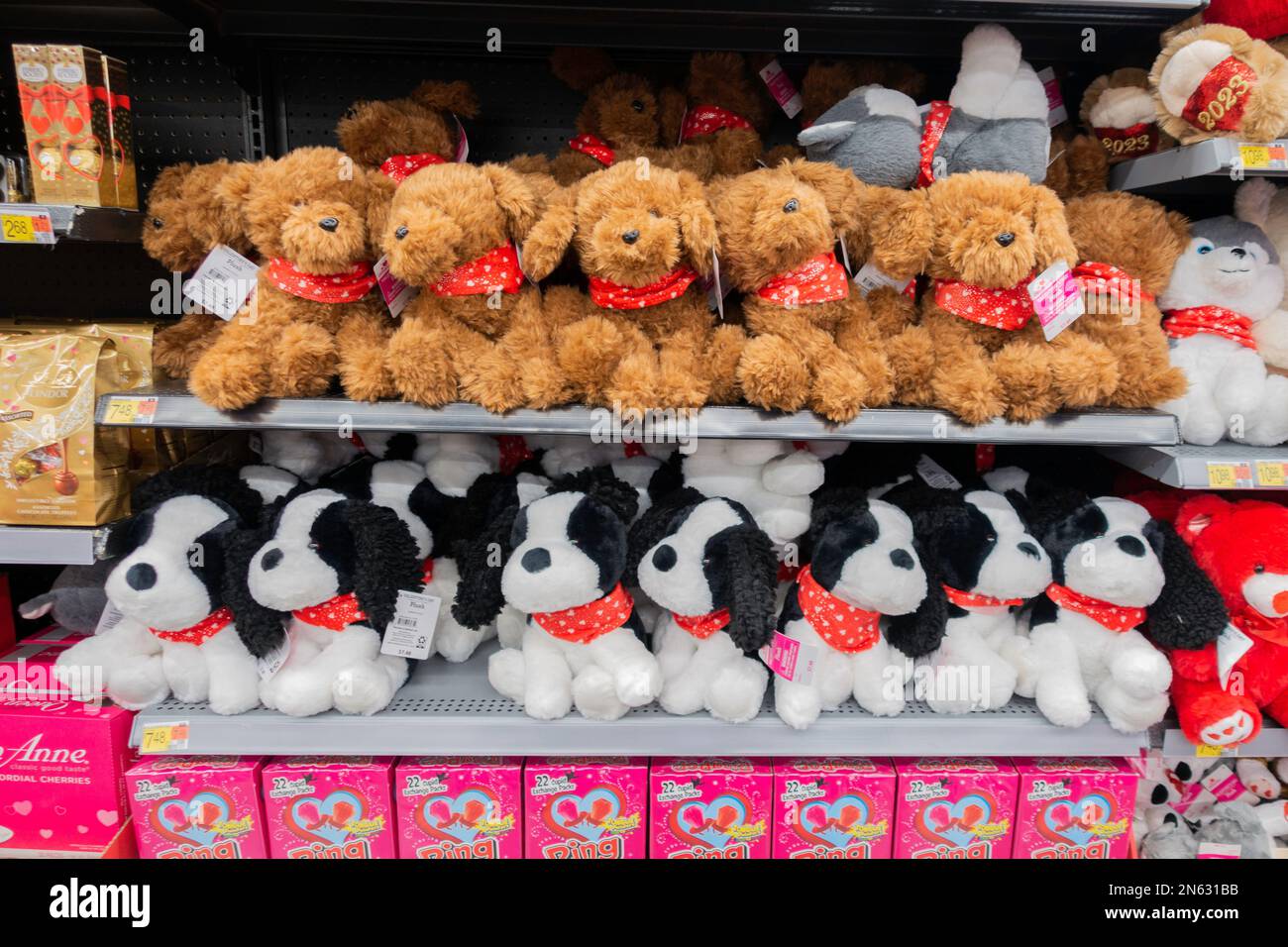 Store display of Valentine Day themed stuffed toy dogs on shelves. USA. Stock Photo
