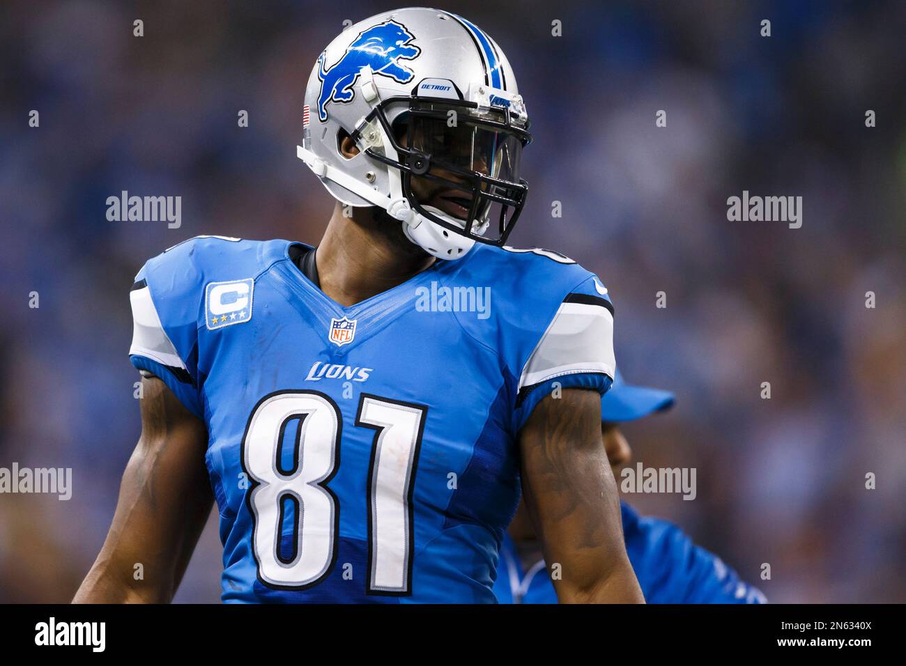 Detroit Lions wide receiver Calvin Johnson (81) during an NFL football game  against the Green Bay Packers at Ford Field in Detroit, Thursday, Nov. 28,  2013. (AP Photo/Rick Osentoski Stock Photo - Alamy