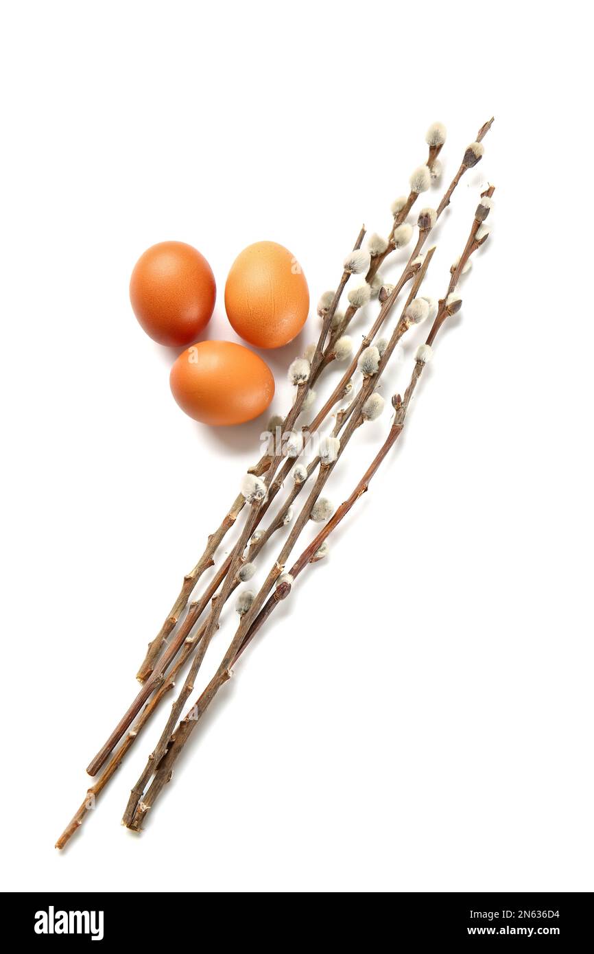 Easter eggs with willow branches on white background Stock Photo - Alamy