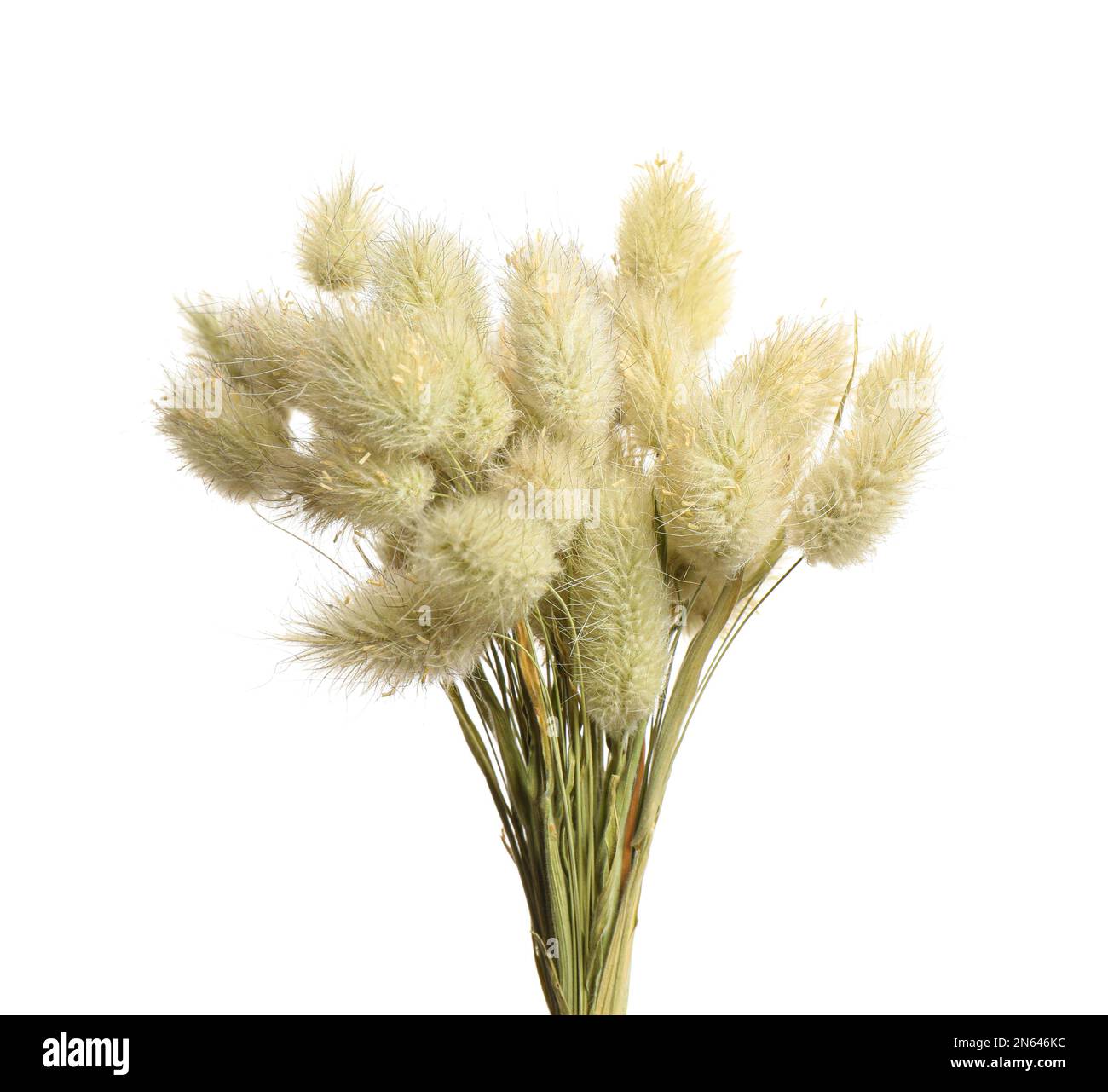 Bouquet of dried flowers on white background Stock Photo - Alamy