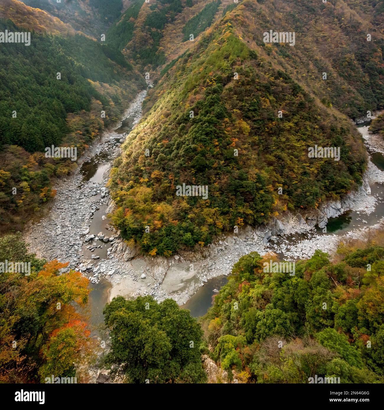 Iya Valley at the Hinoji Valley with fall foliage, Shikoku Island