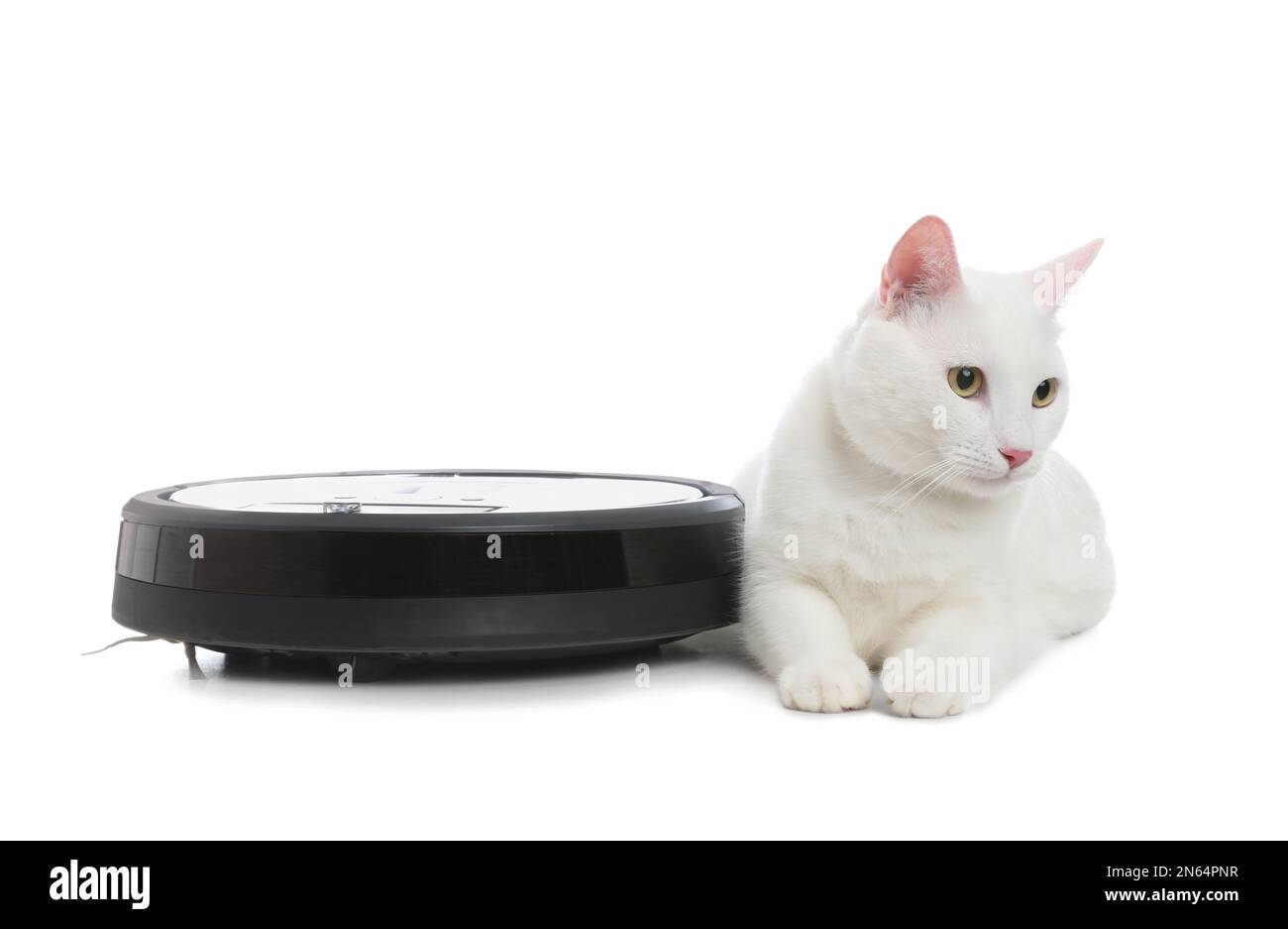 Modern robotic vacuum cleaner and cute cat on white background Stock
