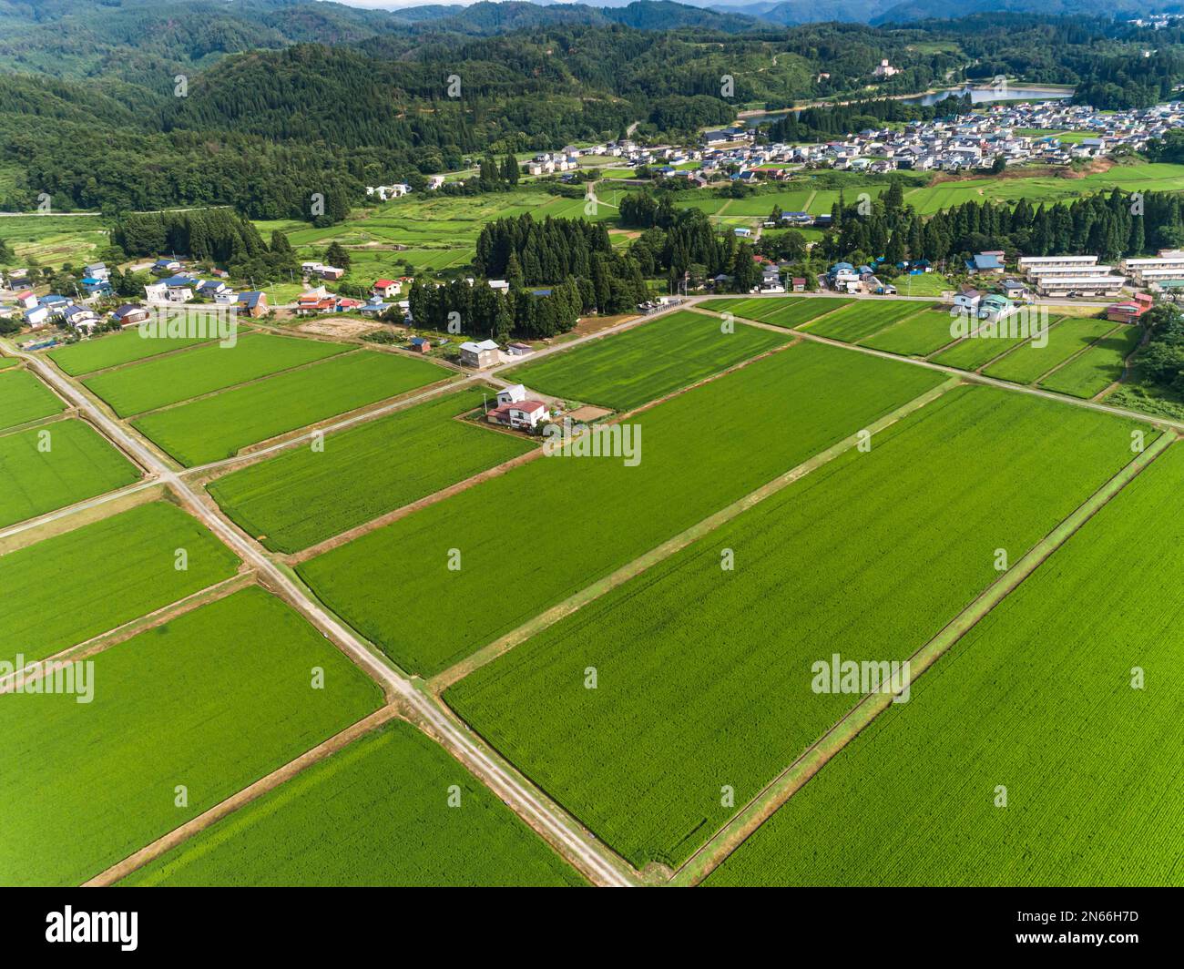 Rice field, farmer's houses, foot of mountains, Drone aerial, Yokote