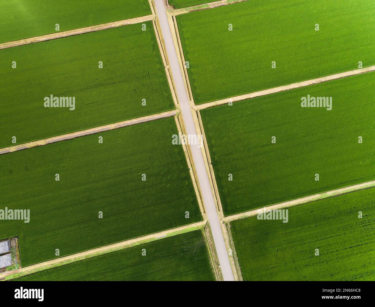 Rice field, checkerboard pattern, Drone aerial, Yokote city, Akita, Tohoku, Japan, East Asia, Asia Stock Photo