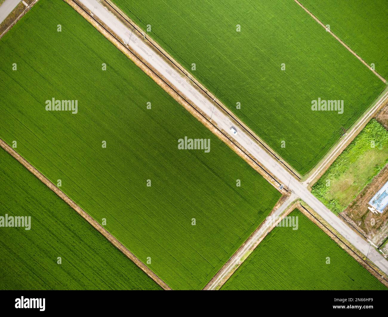 Rice field, checkerboard pattern, Drone aerial, Yokote city, Akita, Tohoku, Japan, East Asia, Asia Stock Photo
