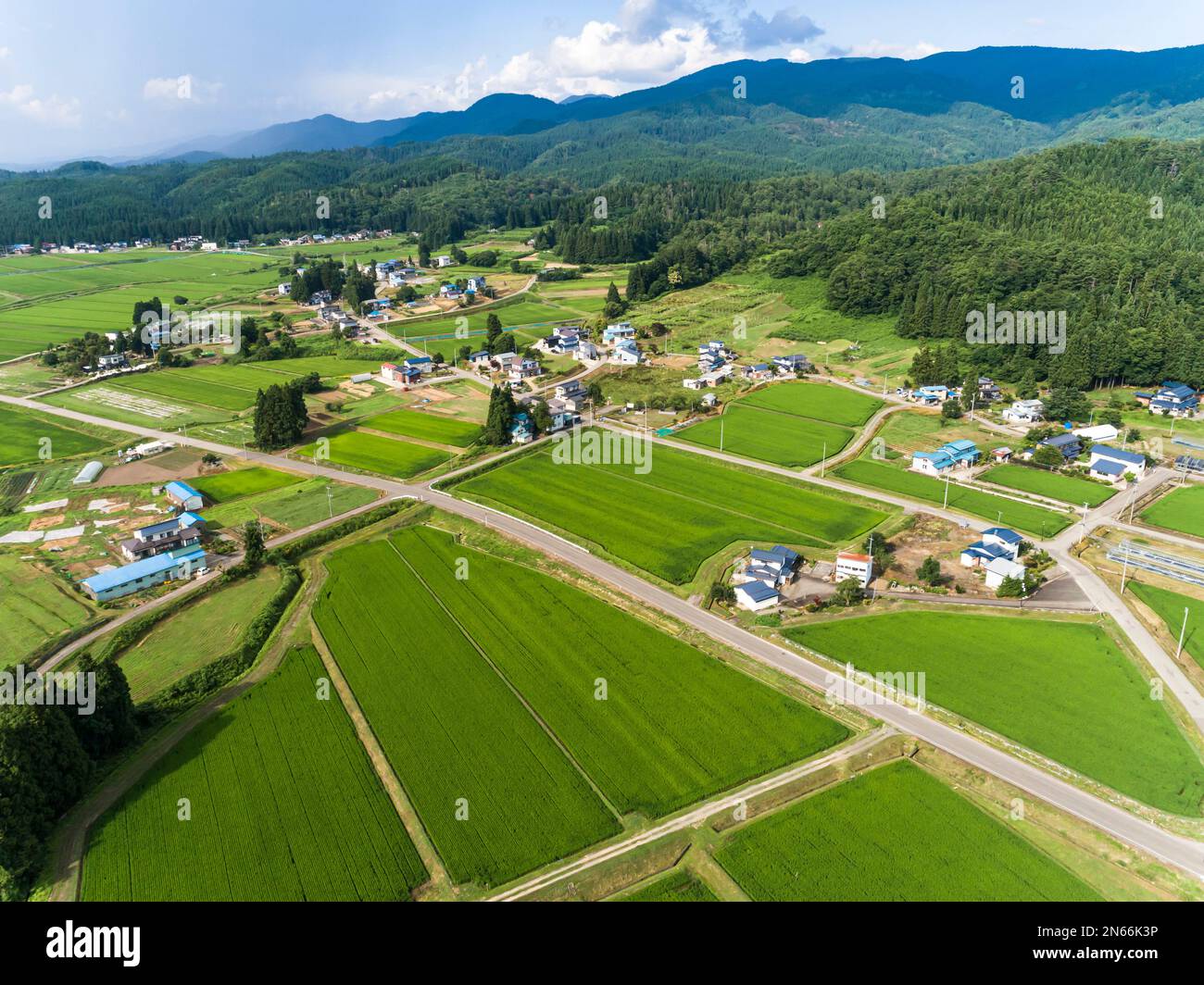 Rice field, farmer's houses, foot of mountains, Drone aerial, Yokote city, Akita, Tohoku, Japan, East Asia, Asia Stock Photo