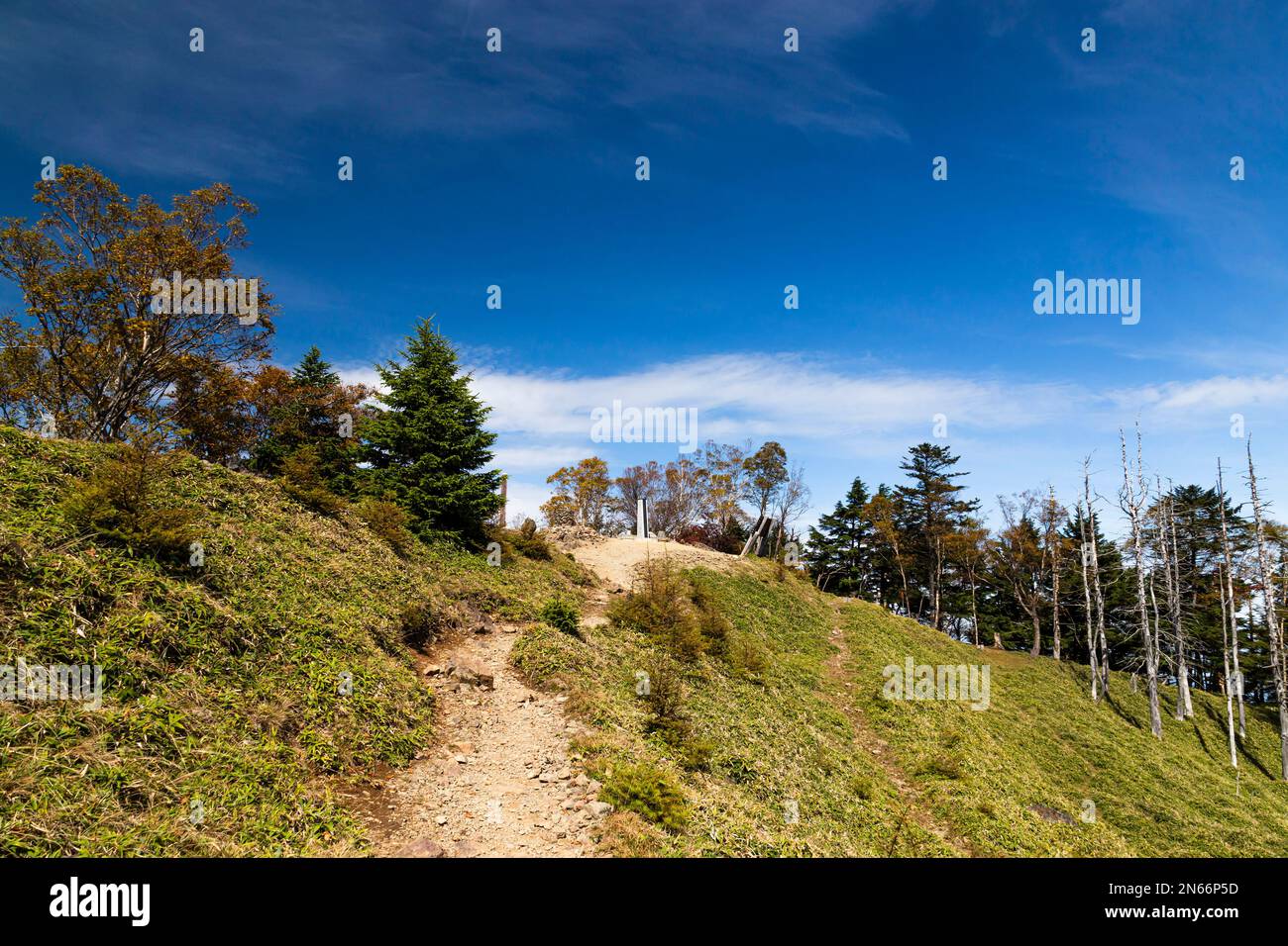 Summit of Mount Kumotori(2017m), highest mountain in Tokyo, Okutama