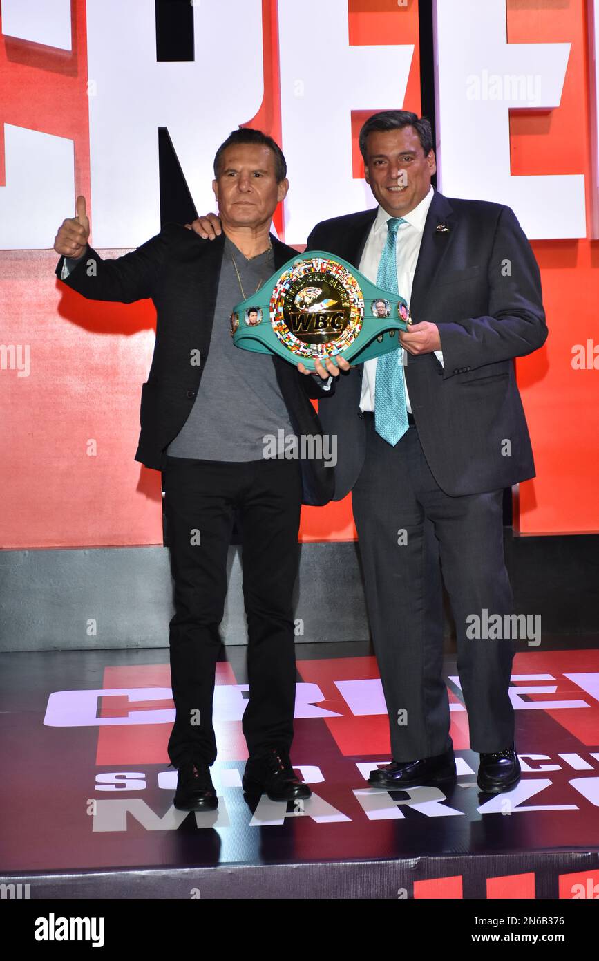 Sergio Manzo Rebolledo
