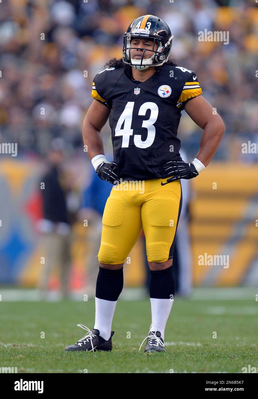 Pittsburgh Steelers strong safety Troy Polamalu (43) during a time-out in  the first quarter of an NFL football game against the Baltimore Ravens on  Sunday, Oct. 20, 2013, in Pittsburgh. The Steelers