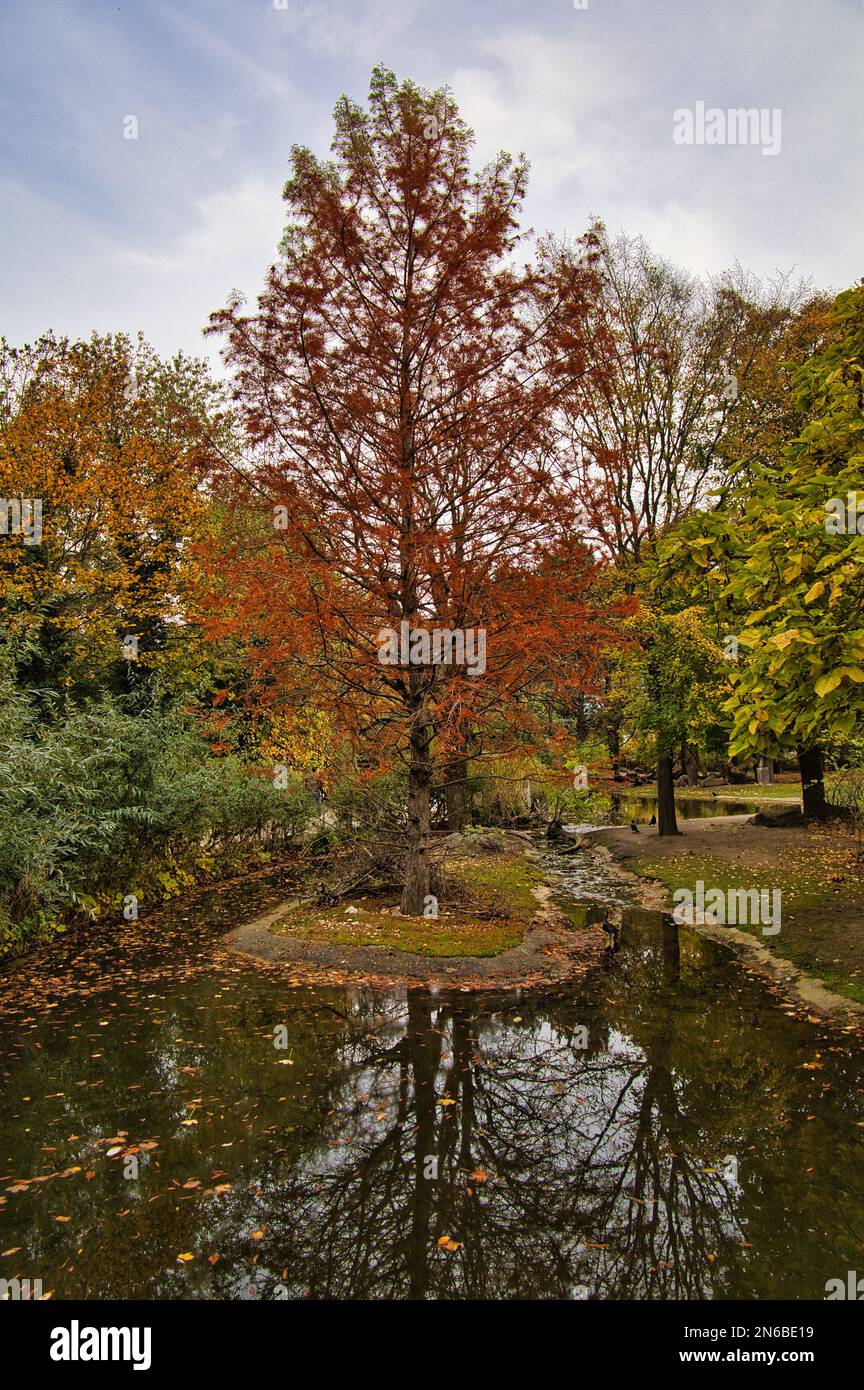 An aerial view of lake surrounded by autumn trees Stock Photo - Alamy