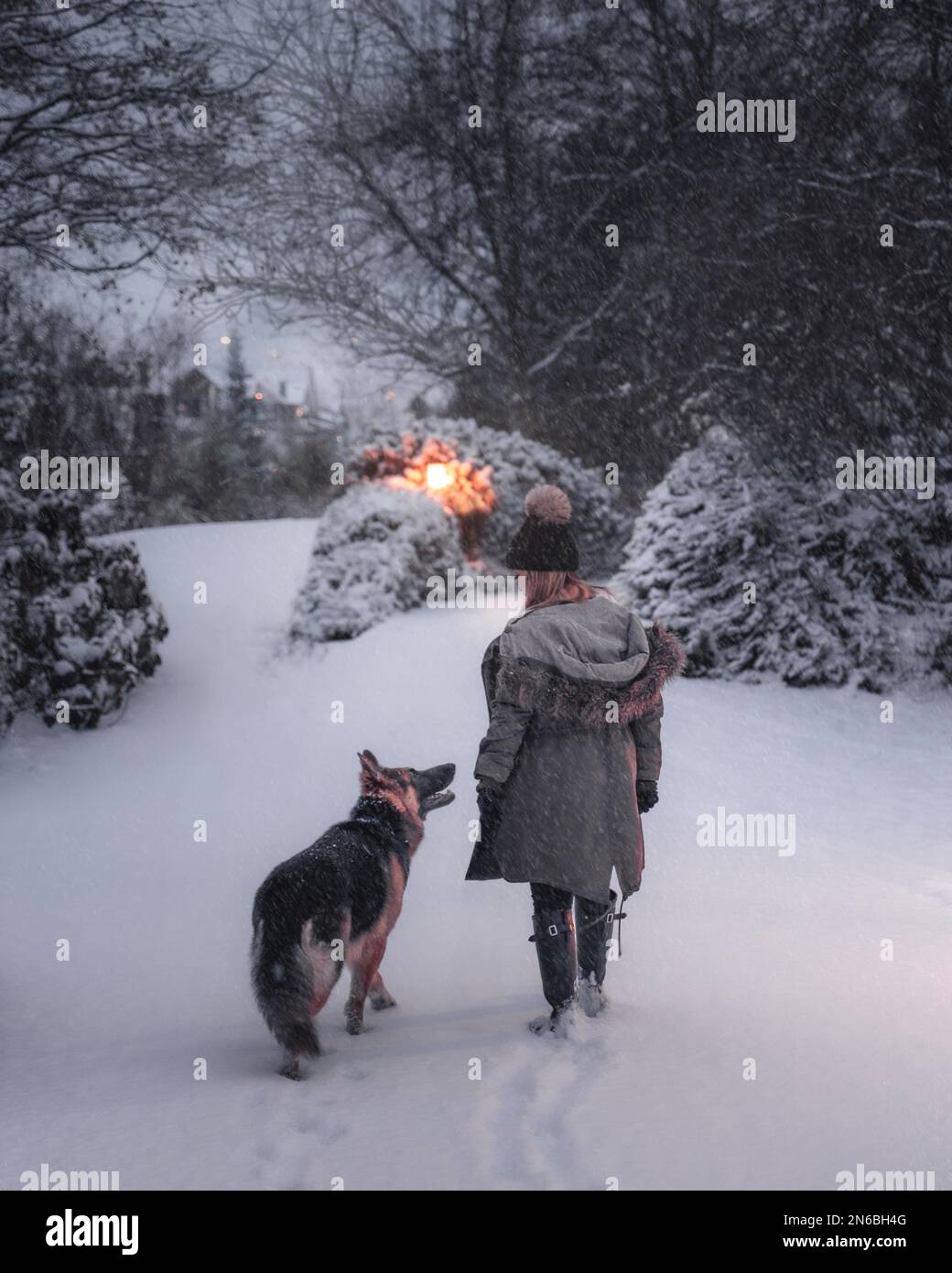 girl and dog walking in the snow Stock Photo