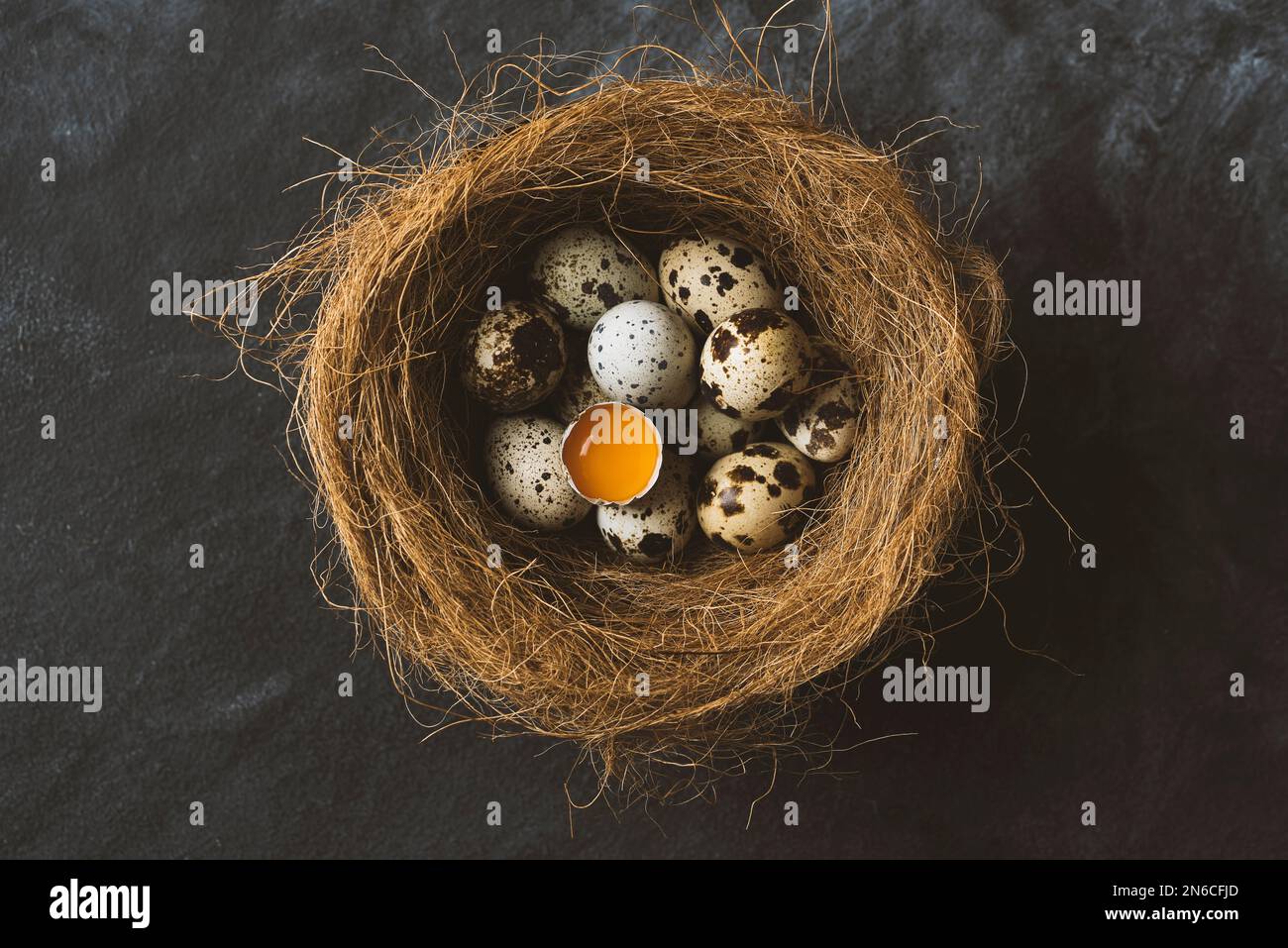 Curated visual reference: Visual Reference: Fresh Organic Free Range Quail Eggs In Bird S Nest
