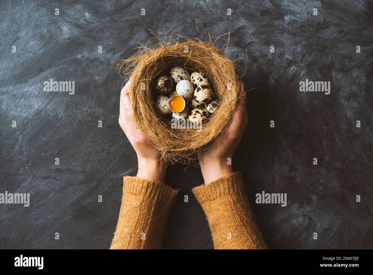 Photo inspiration: Fresh Organic Free Range Quail Eggs In Bird S Nest Photo Inspiration