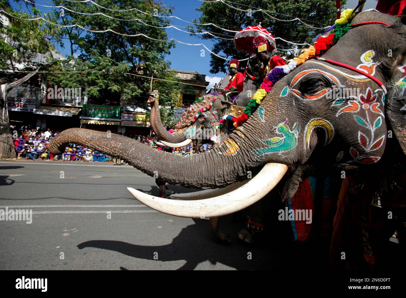 Mahouts ride decorated elephants as they pass in a procession through a