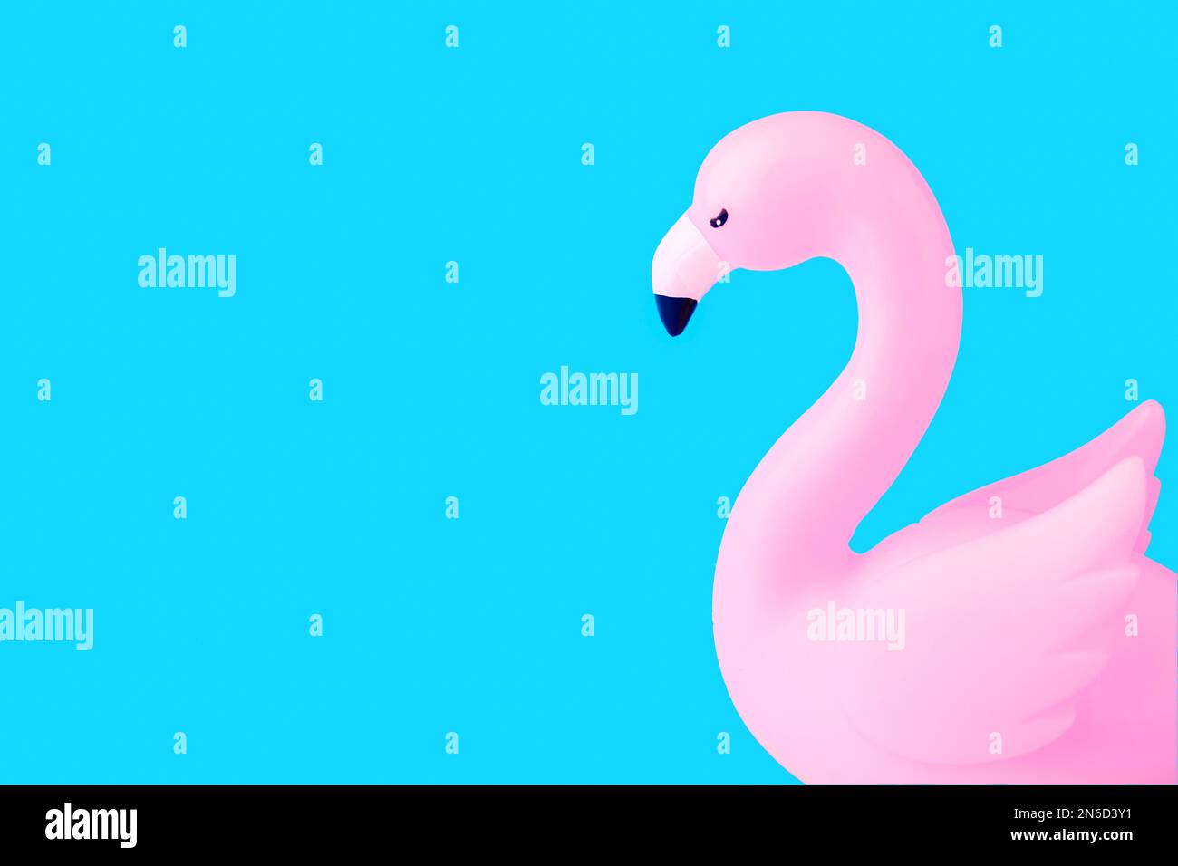Inflatable Flamingo on a blue background, trendy summer concept, banner background with copy space. Pink, trendy, blown beach flamingo on a blue backg Stock Photo