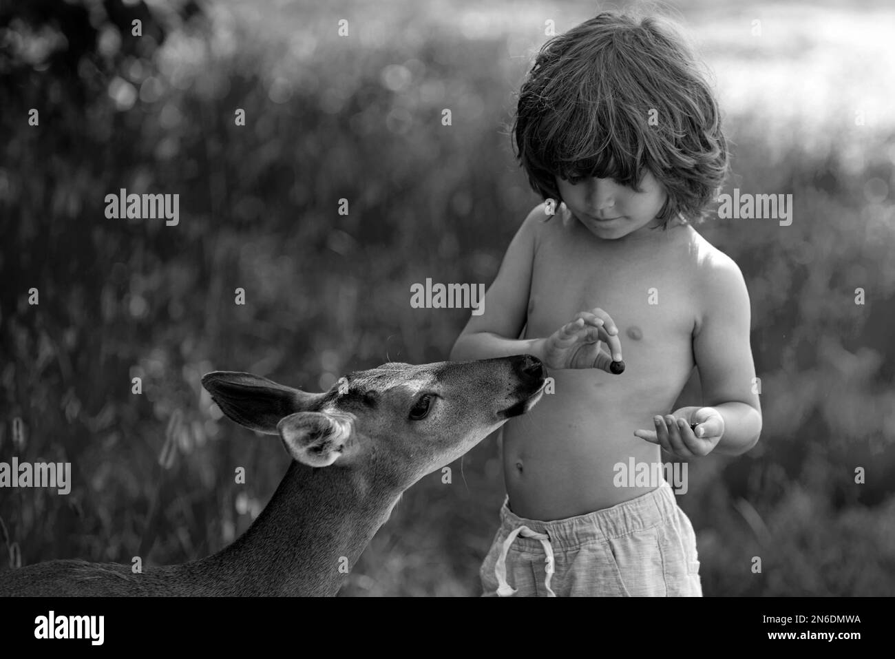 Unity with nature. Cute child feeding a fawn. Pretty boy with graceful