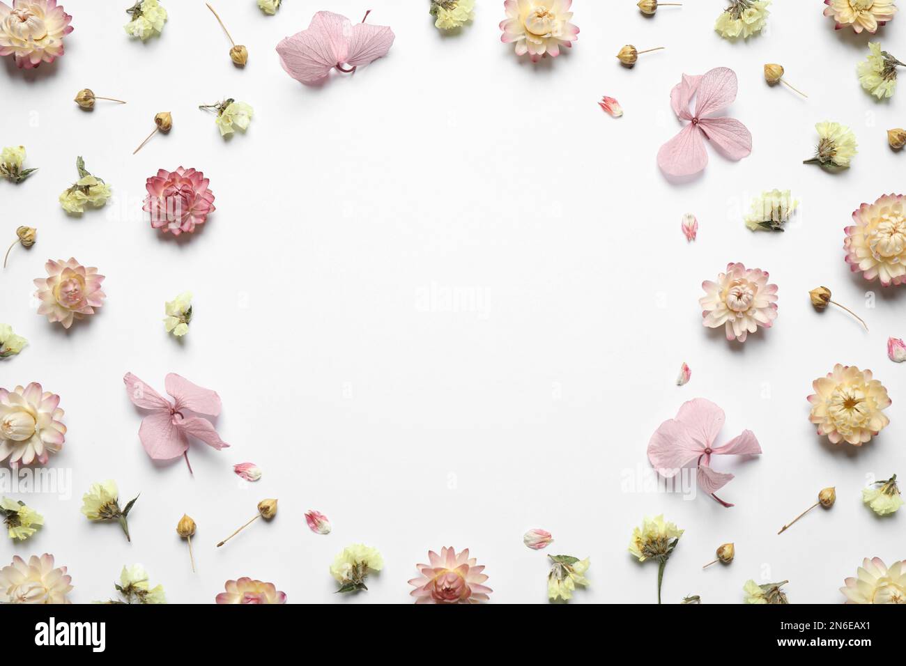 Frame of different fresh and dry flowers on white background, flat lay. Space for text Stock Photo