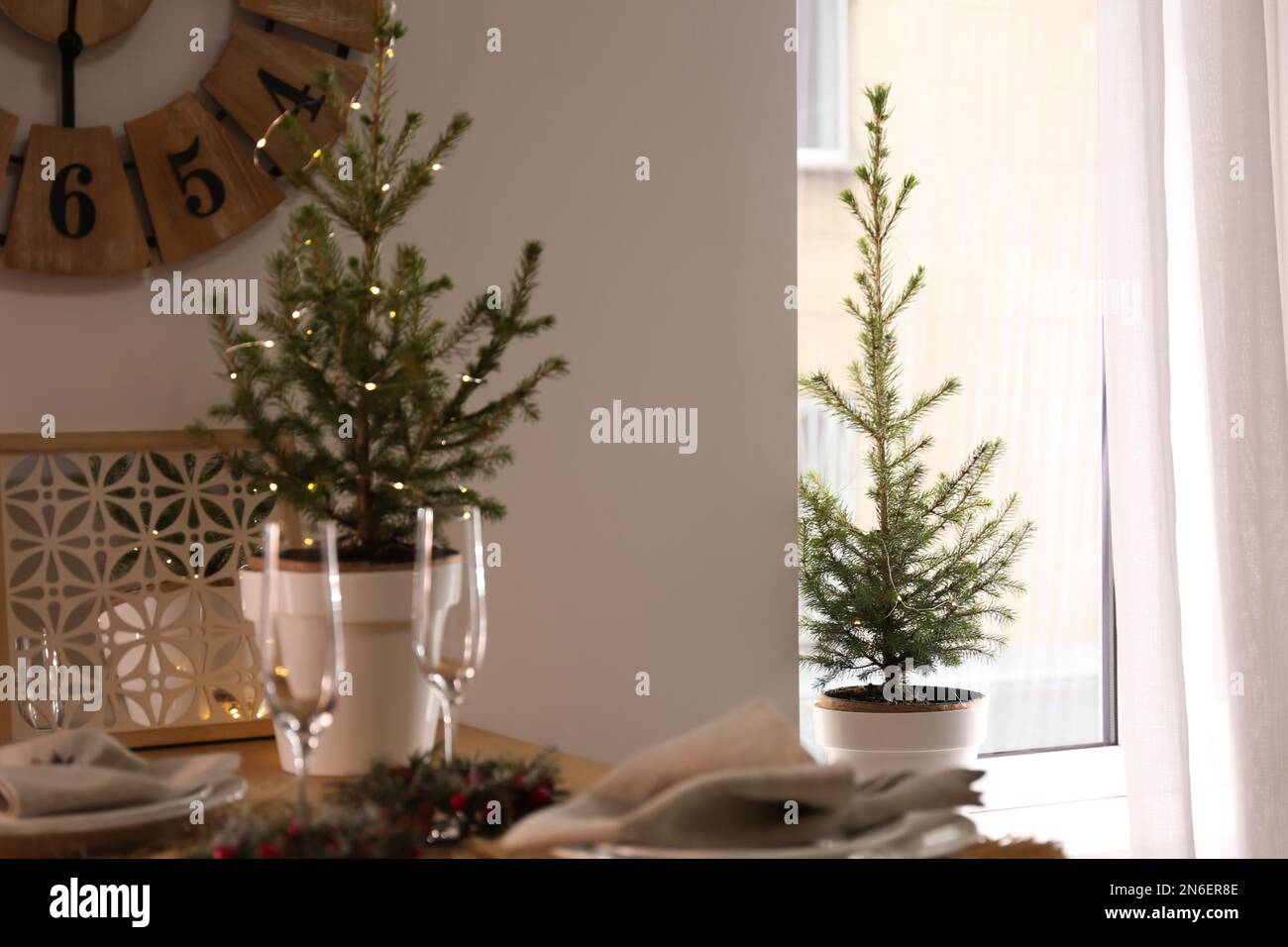 Small potted fir trees in dining room. Interior design Stock Photo - Alamy