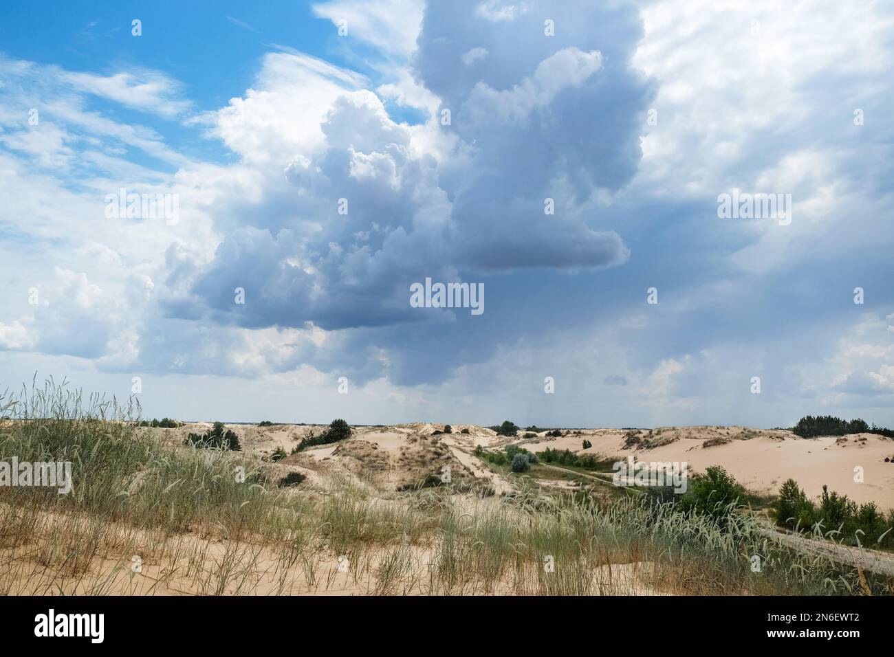 Picturesque landscape of desert with green grass and blue sky Stock ...