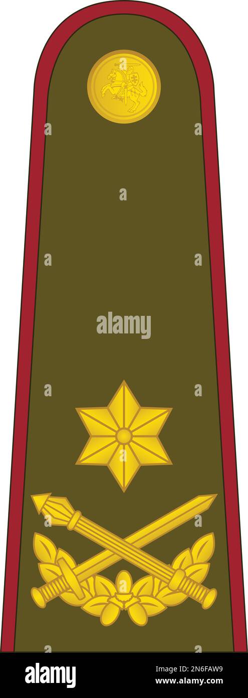 Shoulder pad military officer insignia of the Lithuania BRIGADOS GENEROLAS (BRIGADIER GENERAL) Stock Vector
