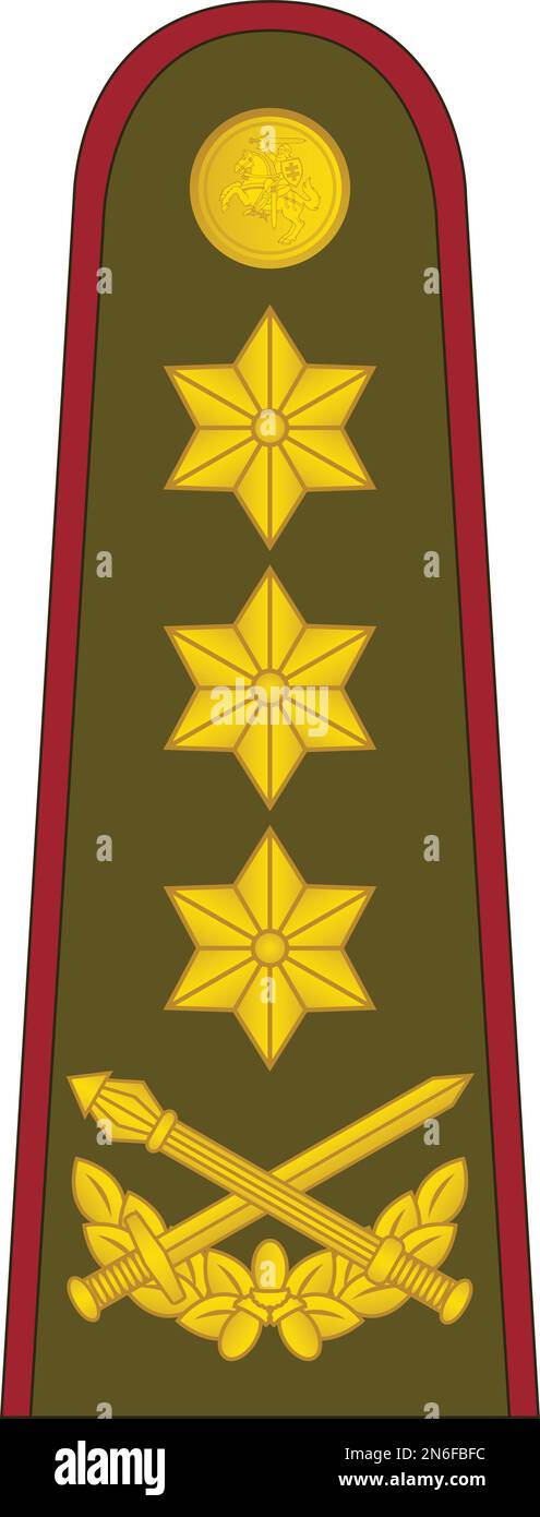 Shoulder pad military officer insignia of the Lithuania  GENEROLAS LEITENANTAS (LIEUTENANT GENERAL) Stock Vector