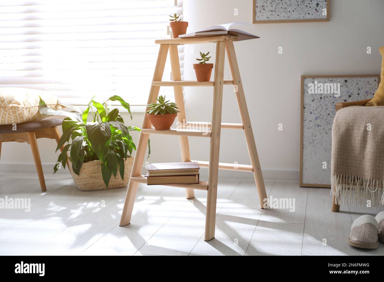 Decorative ladder with beautiful houseplants in stylish living room ...