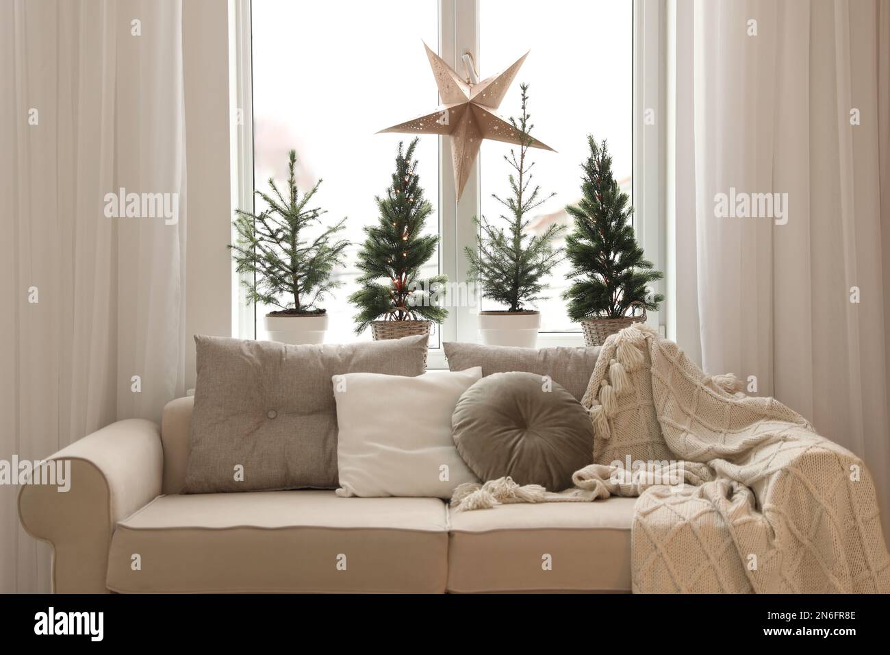 Sofa near window with small fir trees in room. Interior design Stock Photo Alamy