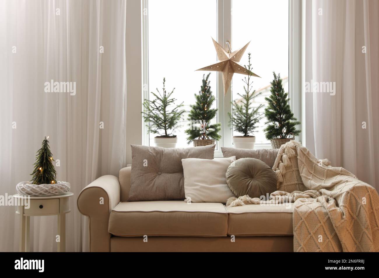 Sofa near window with small fir trees in room. Interior design Stock