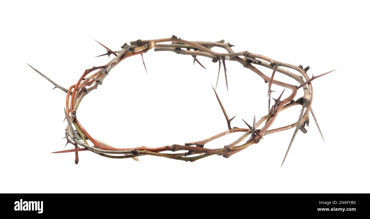 Crown of thorns isolated hi-res stock photography and images - Alamy