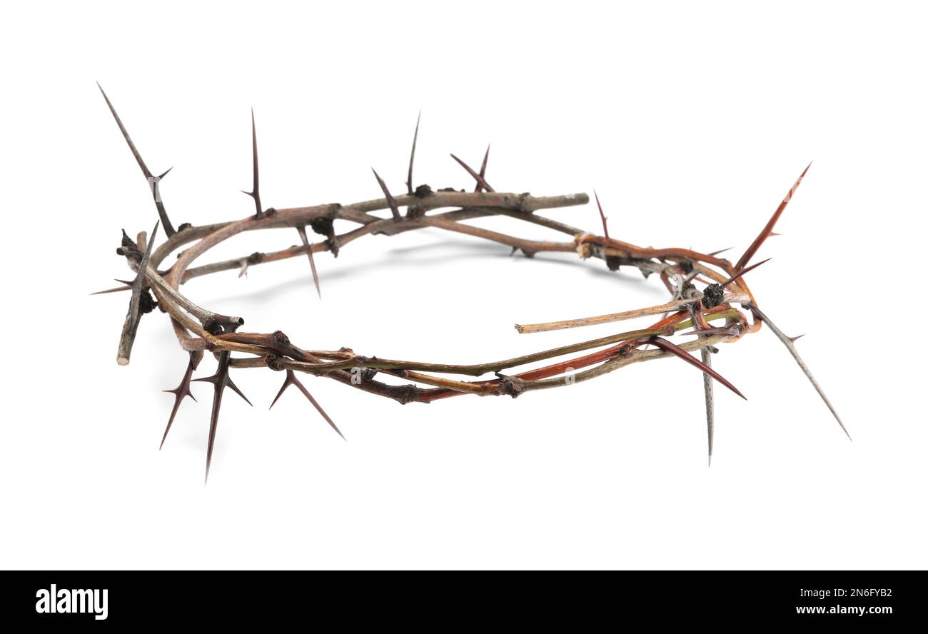 Modern crown of thorns hi-res stock photography and images - Alamy