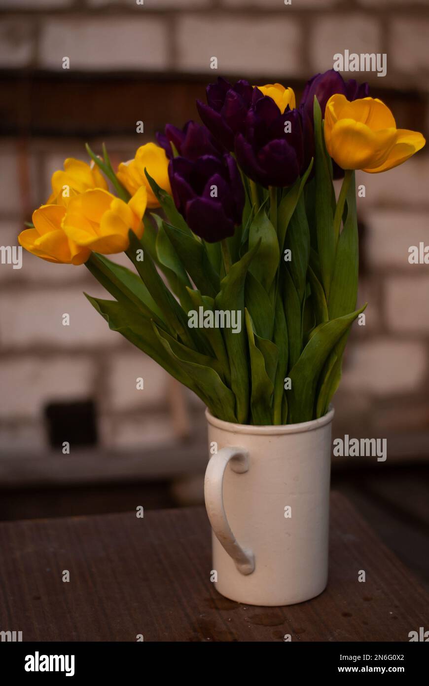 Yellow and purple tulips in a vase in the garden Stock Photo