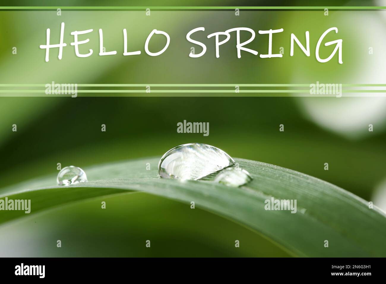 Hello spring water drops hi-res stock photography and images - Alamy