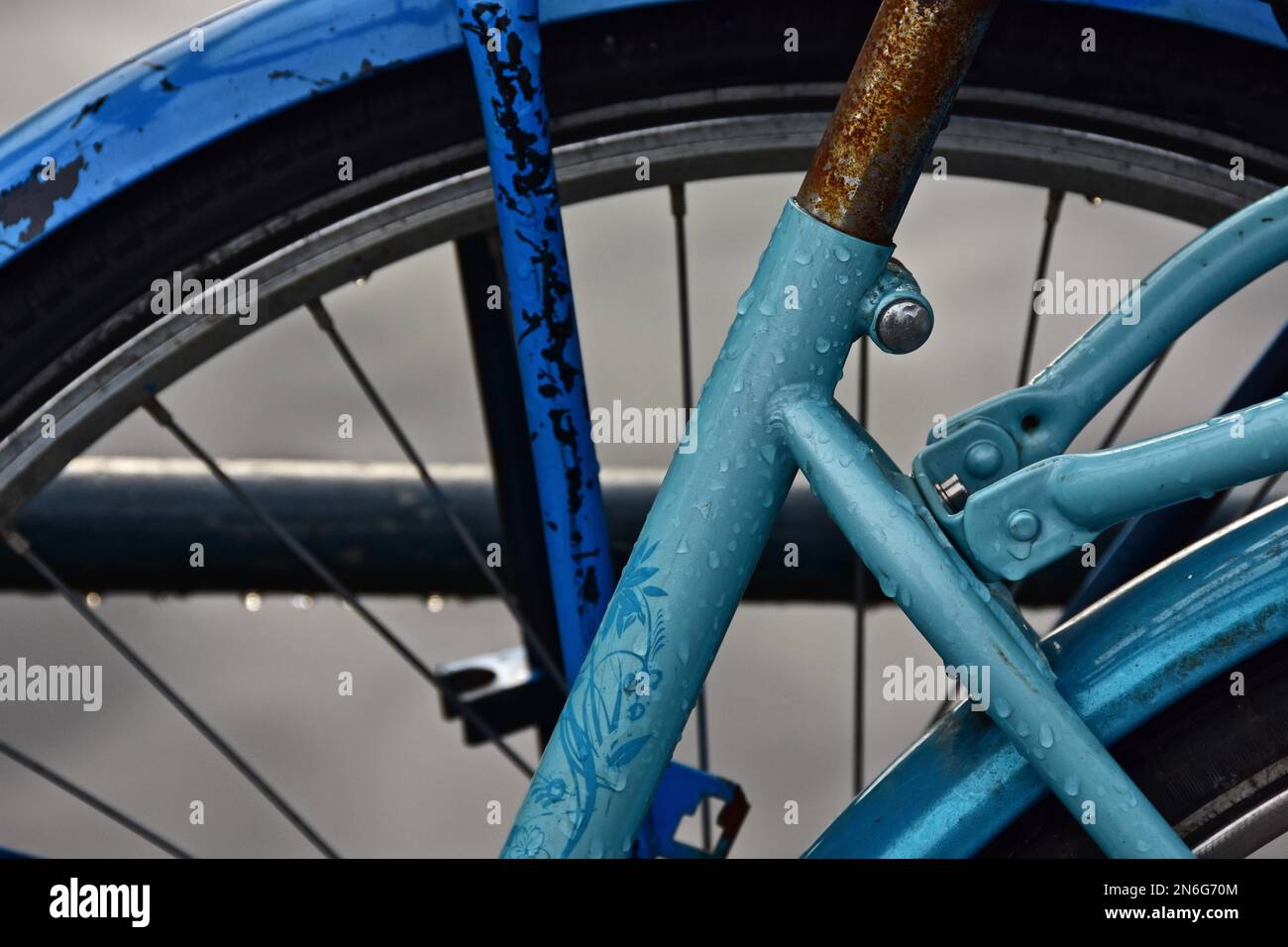 Light blue bicycle frame in the rain, raindrops on bicycle, frame of bicycle, Amsterdam, Netherlands Stock Photo
