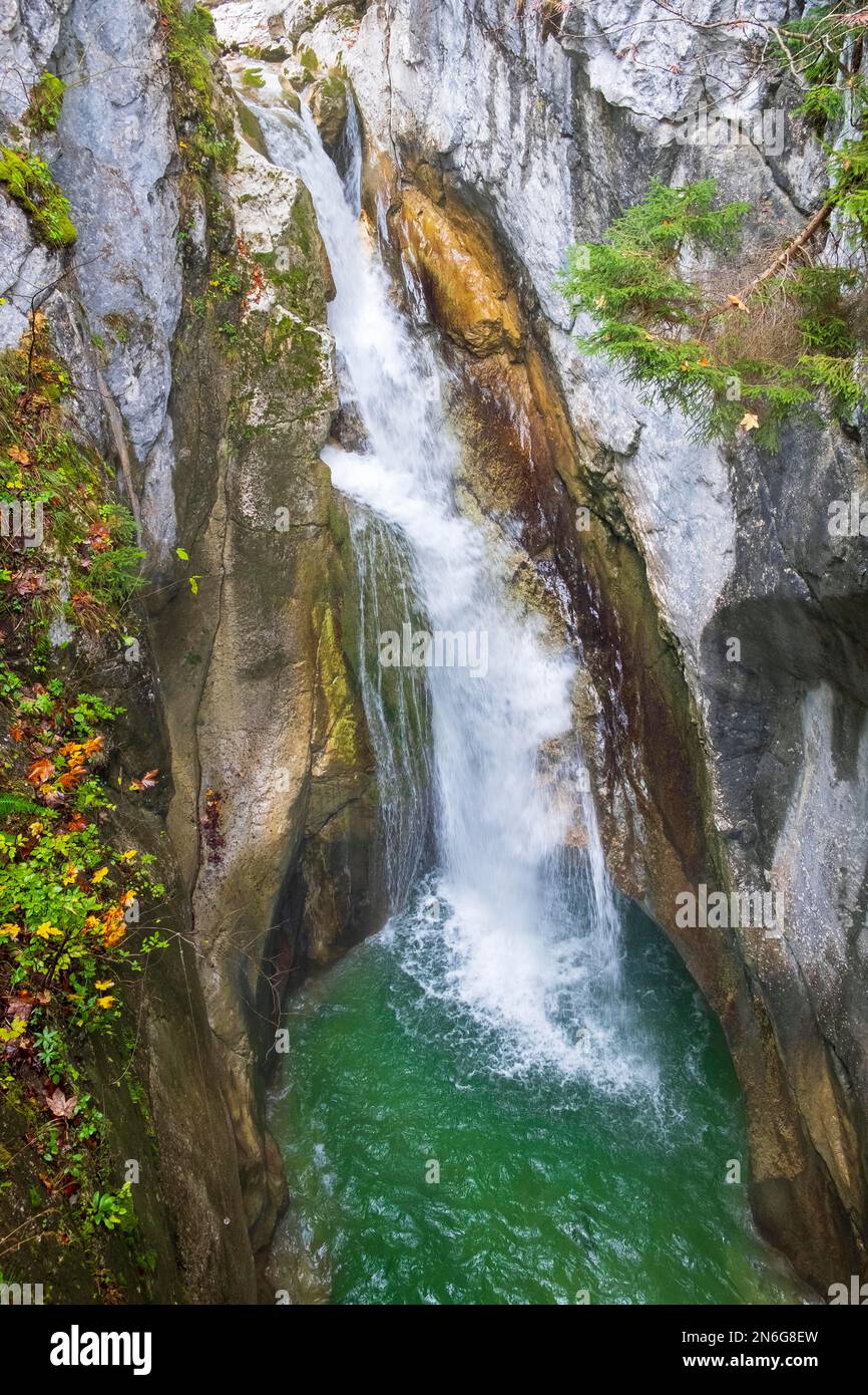 Waterfalls of the Auerbach at Tatzelwurm, hamlet of Tatzelwurm, Oberaudorf, Bavarian Inn Valley, Upper Bavaria, Bavaria, Germany Stock Photo