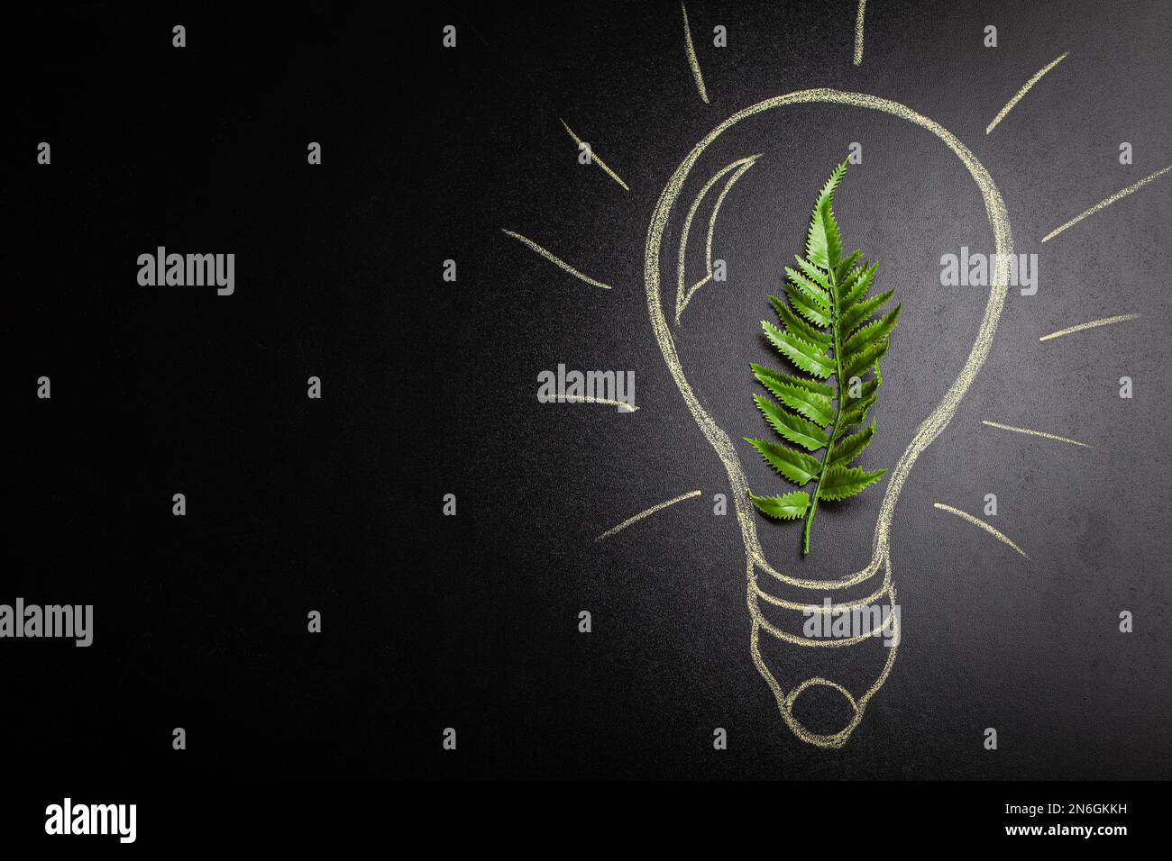 Green leaf top view flat lay inside an electric lightbulb hand-drawn on black chalk board background, green sustainable renewable power, energy Stock Photo